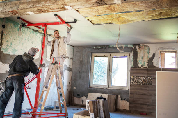 Best Best Insulation Companies  in Clarksville, TN
